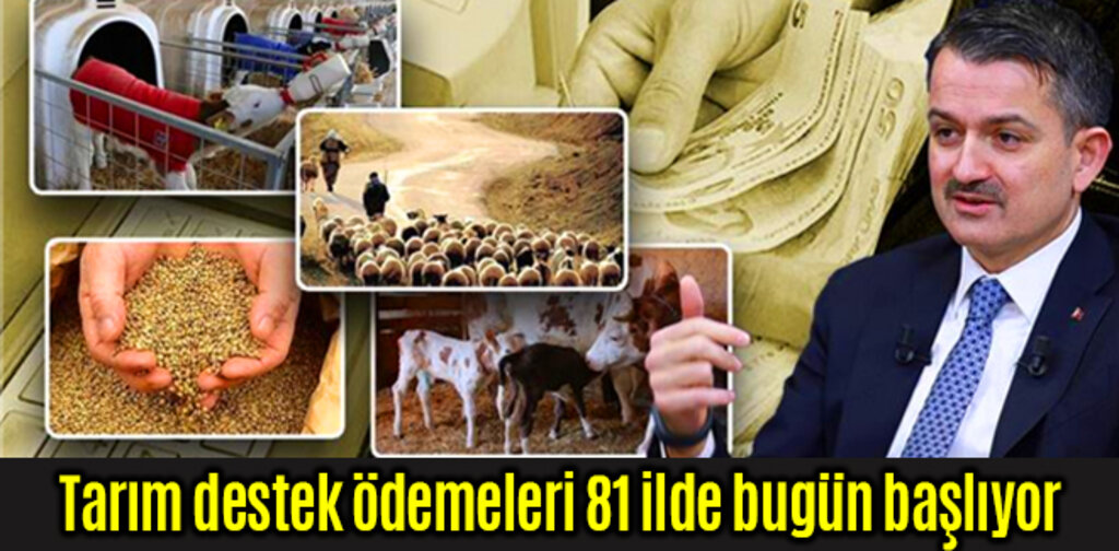 Tarım destek ödemeleri 81 ilde bugün başlıyor