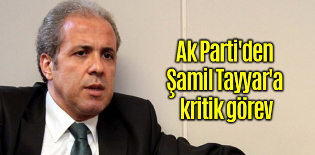 Ak Parti'den Şamil Tayyar'a önemli görevlendirme