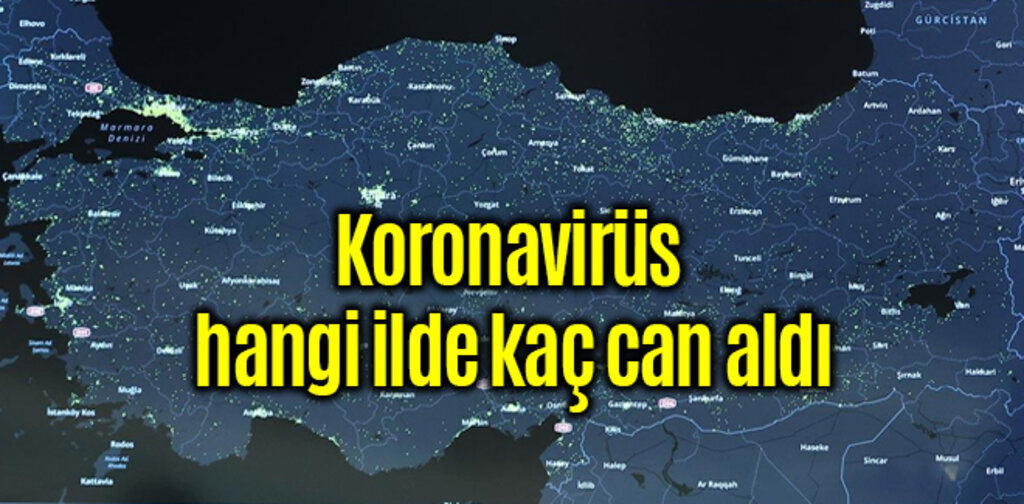 Koronavirüs hangi ilde kaç can aldı
