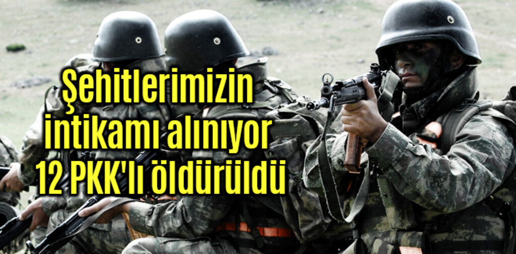 Şehitlerimizin intikamı alınıyor 12 PKK'lı öldürüldü