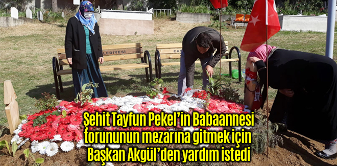 Şehit torununun mezarına gitmek için yardım istedi