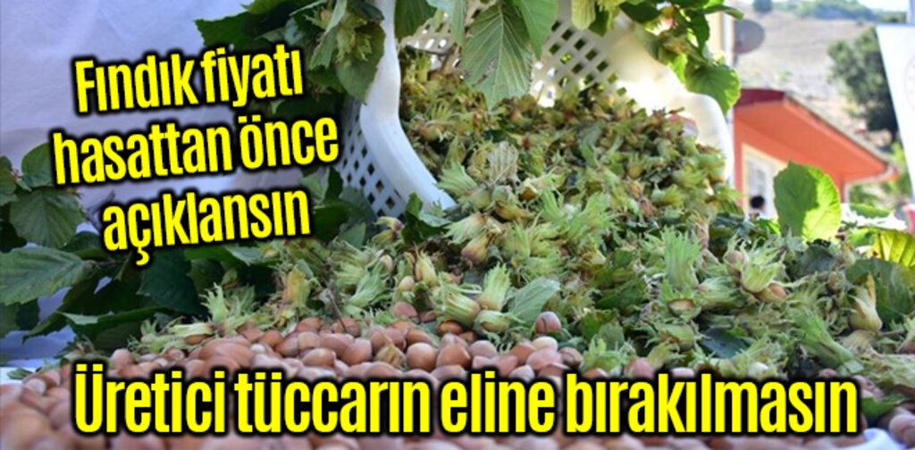 Fındık fiyatı açıklansın üretici tüccarın eline bırakılmasın