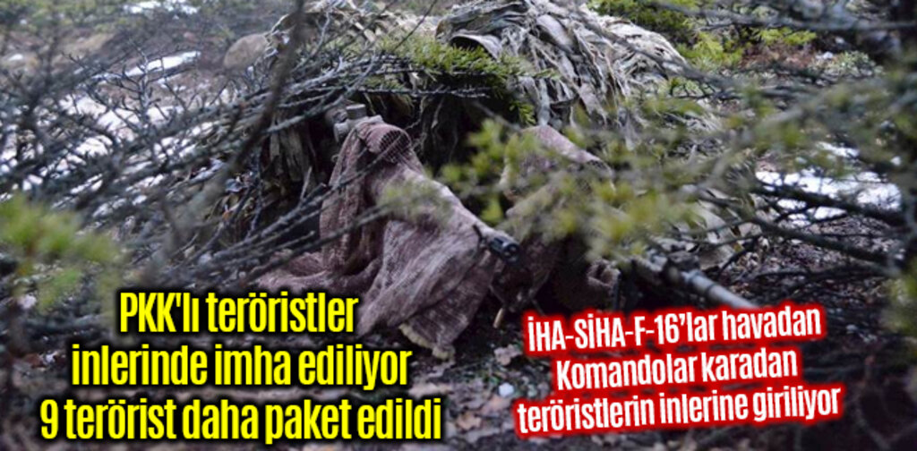 PKK'lı teröristler inlerinde imha ediliyor