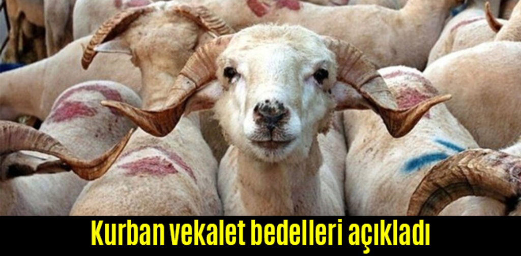 Kurban vekalet bedelleri açıkladı