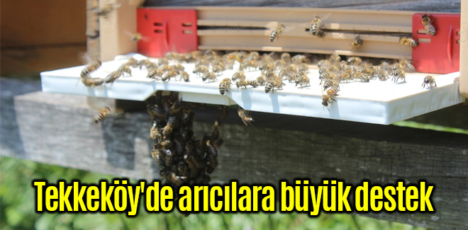 Tekkeköy'de arıcılara büyük destek