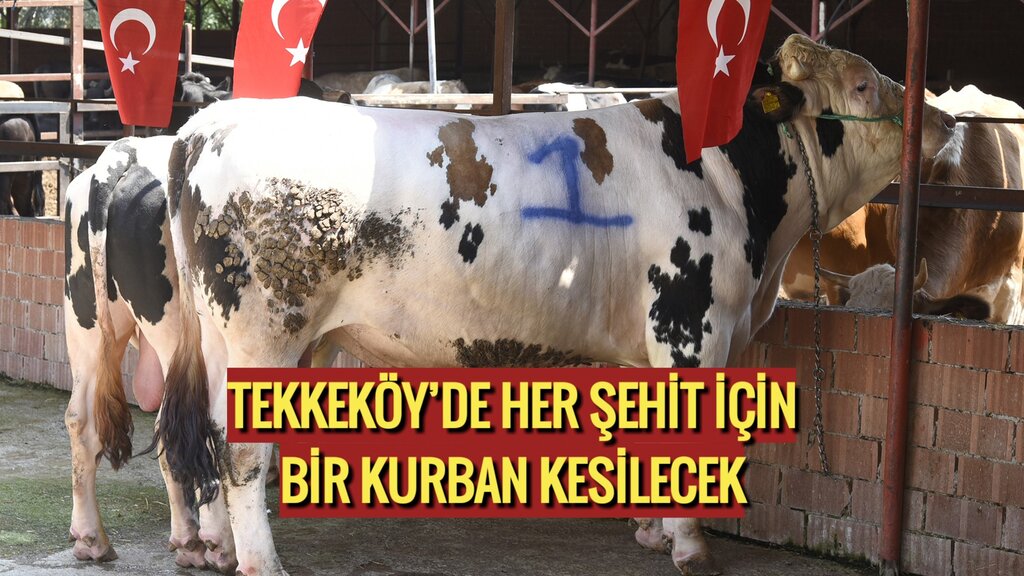 TEKKEKÖY’DE HER ŞEHİT İÇİN BİR KURBAN KESİLECEK