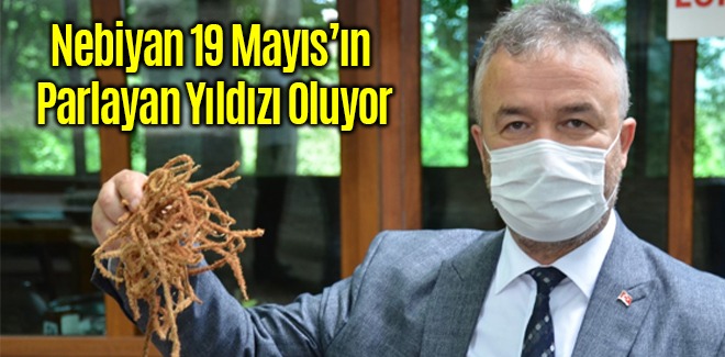 Nebiyan 19 Mayıs’ın Parlayan Yıldızı Oluyor