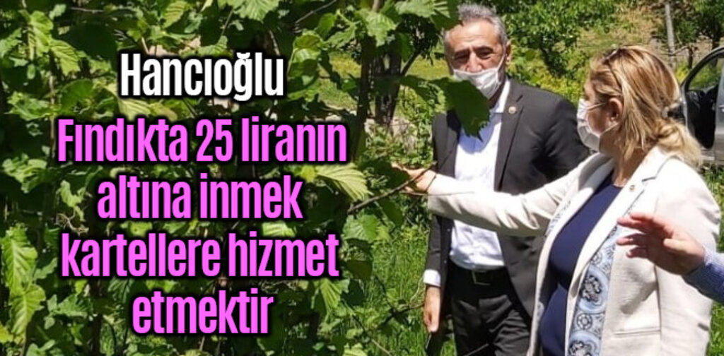 Fındıkta 25 liranın altına inmek kartellere hizmet etmektir
