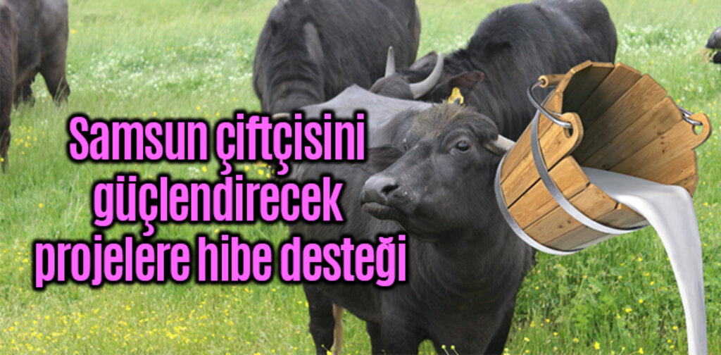 Samsun çiftçisini güçlendirecek projelere hibe desteği