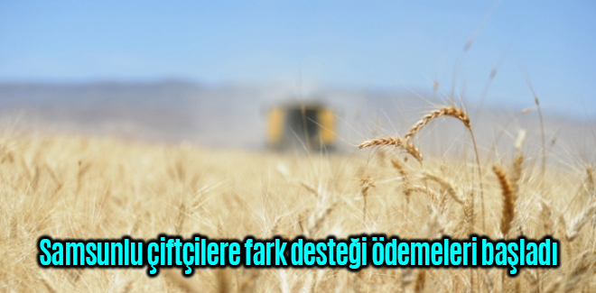 Samsunlu çiftçilere fark desteği ödemeleri başladı
