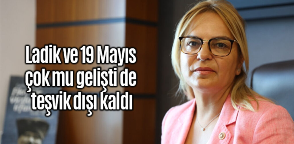 Ladik ve 19 Mayıs çok mu gelişti de teşvik dışı kaldı