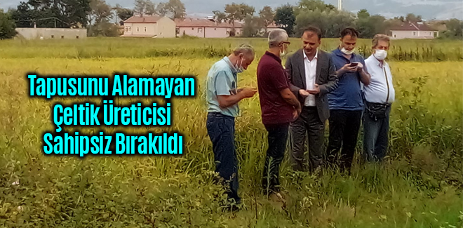 Tapusunu Alamayan Çeltik Üreticisi Sahipsiz Bırakıldı