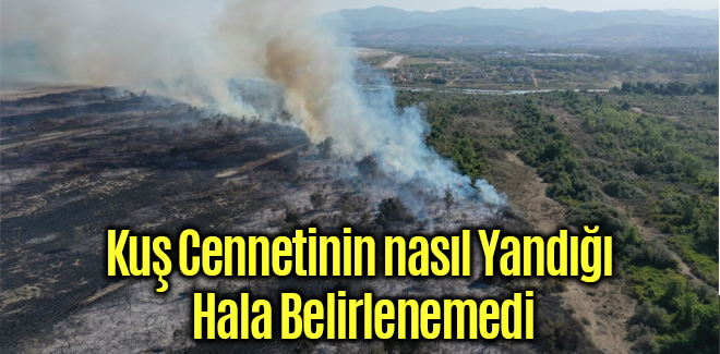Kuş Cennetinin nasıl Yandığı Hala Belirlenemedi
