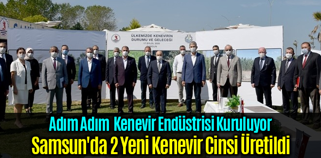 Samsun'da 2 Yeni Kenevir Cinsi Üretildi