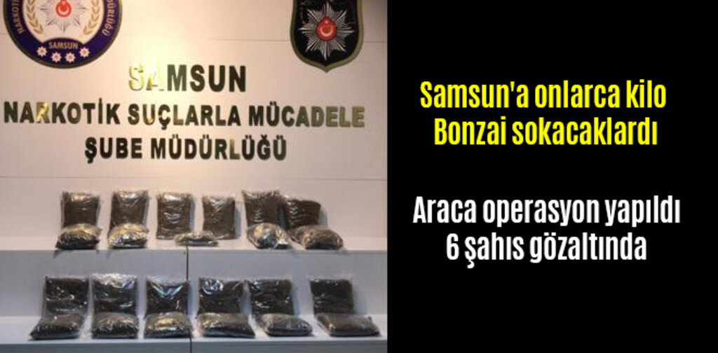 Samsun'a onlarca kilo Bonzai sokacaklardı