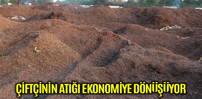 ÇİFTÇİNİN ATIĞI EKONOMİYE DÖNÜŞÜYOR