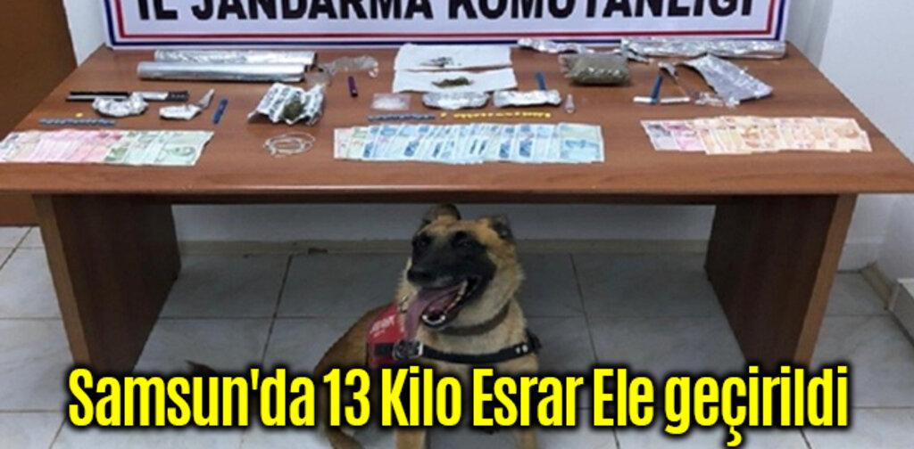 Samsun'da 13 Kilo Esrar Ele geçirildi