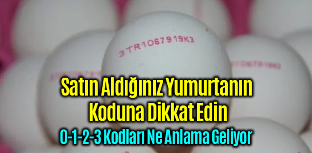 Satın Aldığınız Yumurtanın Koduna Dikkat Edin