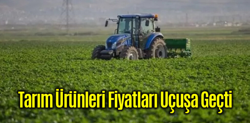 Tarım Ürünleri Fiyatları Uçuşa Geçti