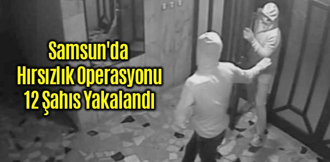 Samsun'da Hırsızlık Operasyonunda 12 Şahıs Yakalandı