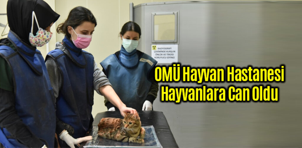 OMÜ Hayvan Hastanesi Hayvanlara Can Oldu