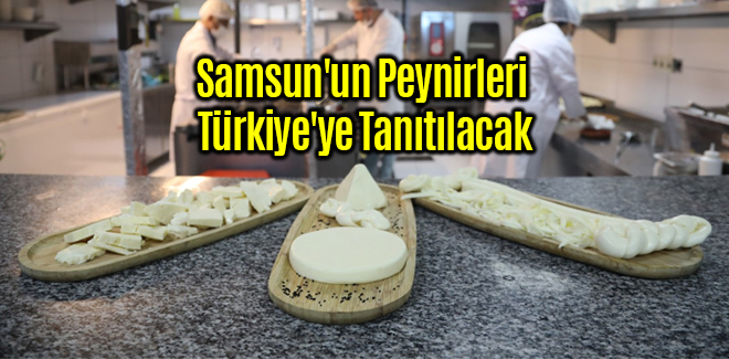Samsun'un Peynirleri Türkiye'ye Tanıtılacak