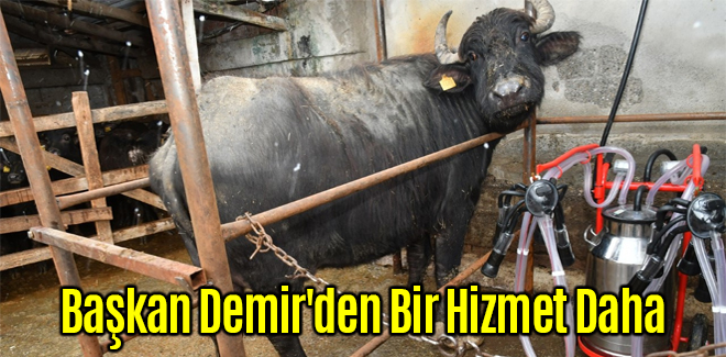 Başkan Demir'den Bir hizmet Daha