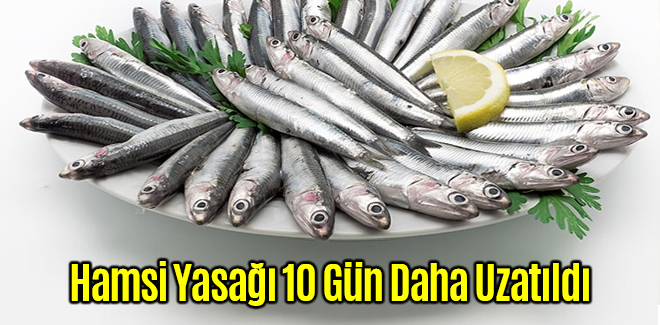 Hamsi Yasağı 10 Gün Daha Uzatıldı