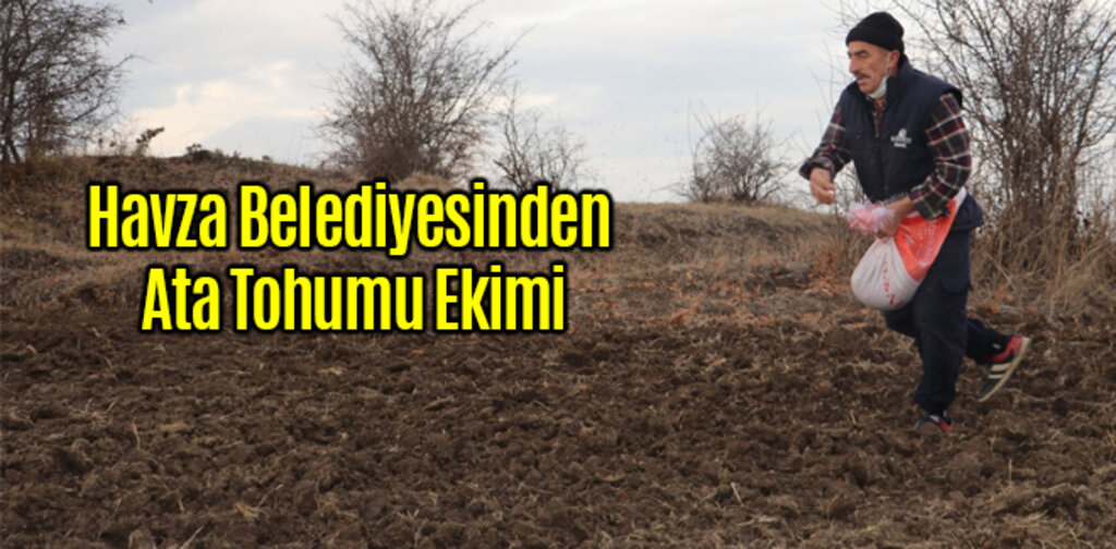 Havza Belediyesinden Ata Tohumu Ekimi