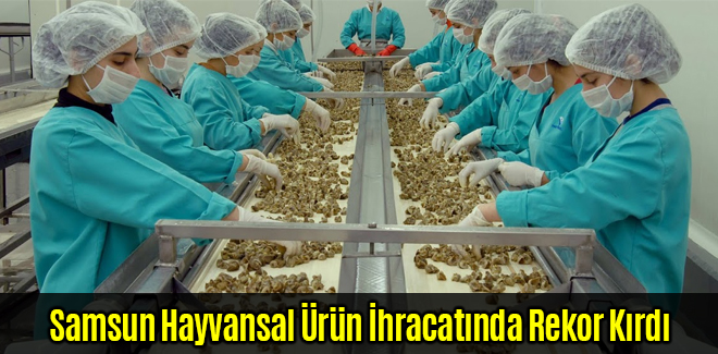 Samsun Hayvansal Ürün İhracatında Rekor Kırdı