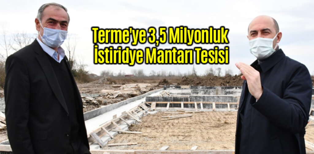 Terme'ye 3,5 Milyonluk İstiridye Mantarı Tesisi