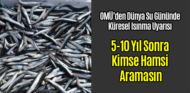 OMÜ 5-10 Yıl Sonra Kimse Hamsi Aramasın