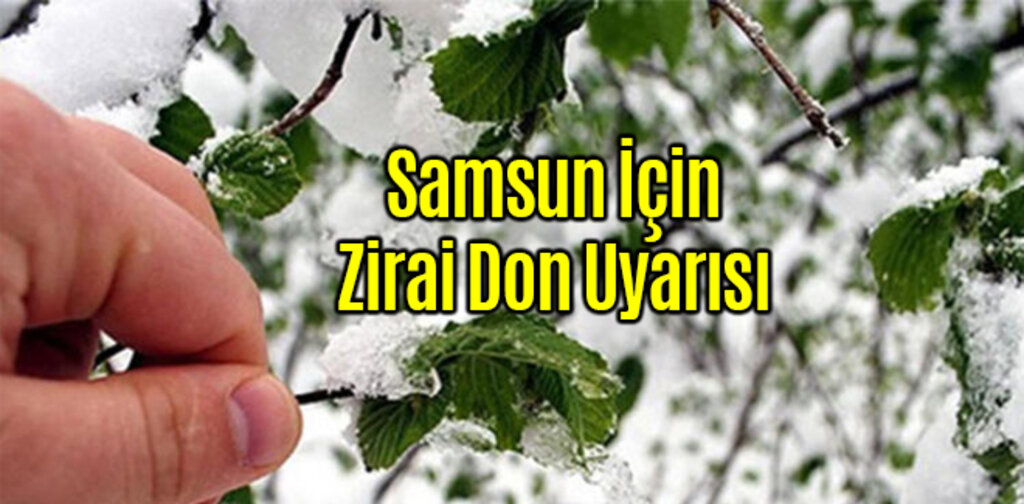 Samsun İçin Zirai Don Uyarısı