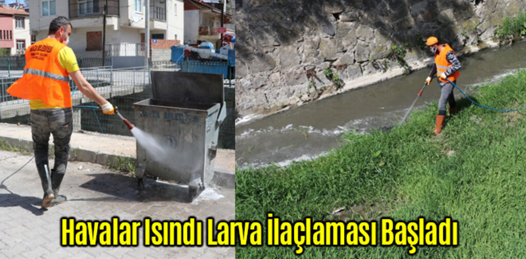 Havalar Isındı Larva İlaçlaması Başladı