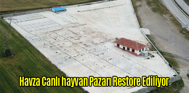 Havza Canlı hayvan Pazarı Restore Ediliyor