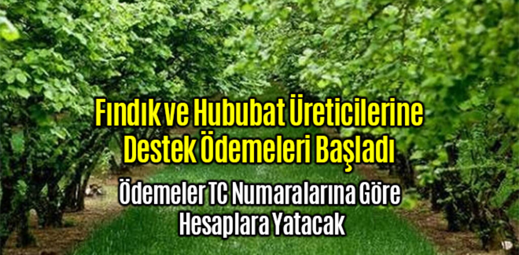 Fındık ve Hububat Üreticilerine Destek Ödemeleri Başladı