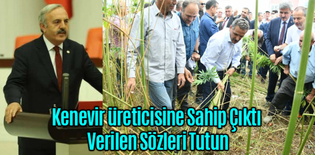 kenevir üreticisine Sahip Çıktı Verilen Sözleri Tutun
