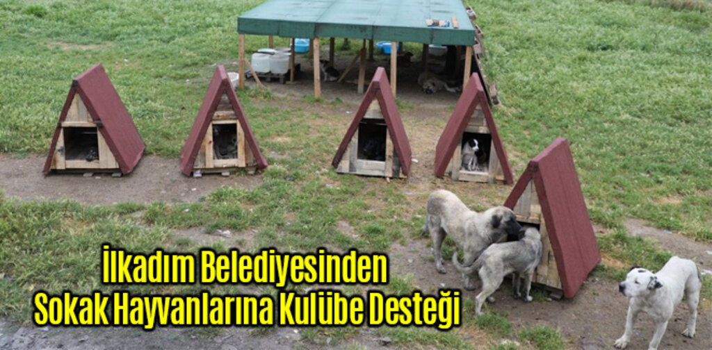 İlkadım Belediyesinden Sokak Hayvanlarına Kulübe Desteği