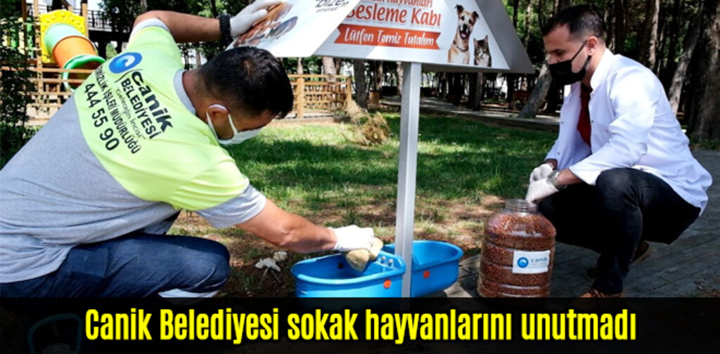 Canik Belediyesi sokak hayvanlarını unutmadı