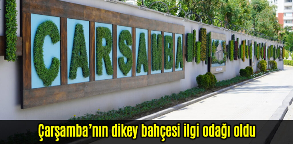 Çarşamba'nın dikey bahçesi ilgi odağı oldu