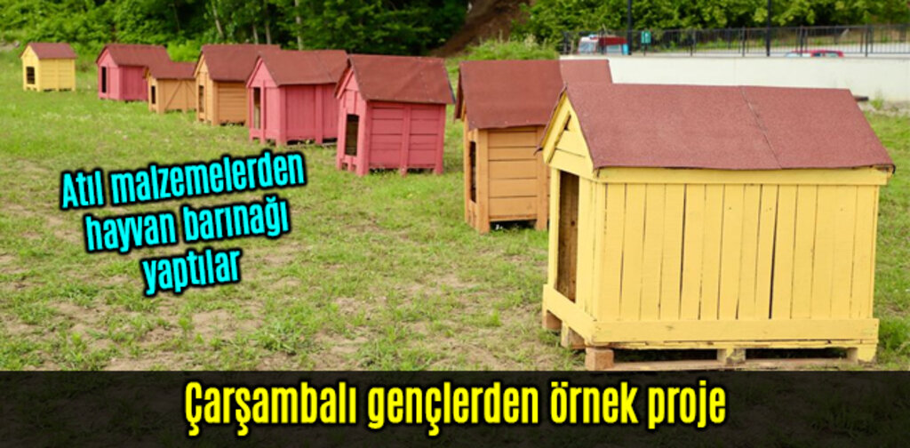Çarşambalı gençlerden örnek proje