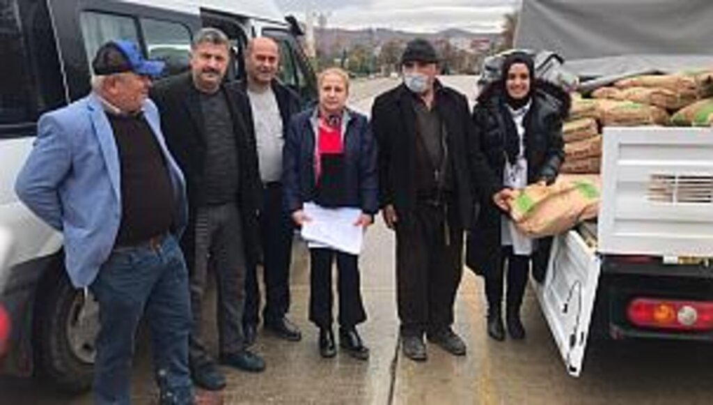 Çiftçilere ekmeklik buğday tohumu desteği