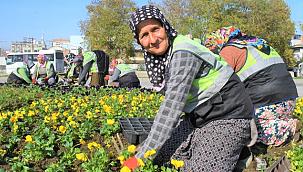 Samsun'da park ve bahçelere kadın eli