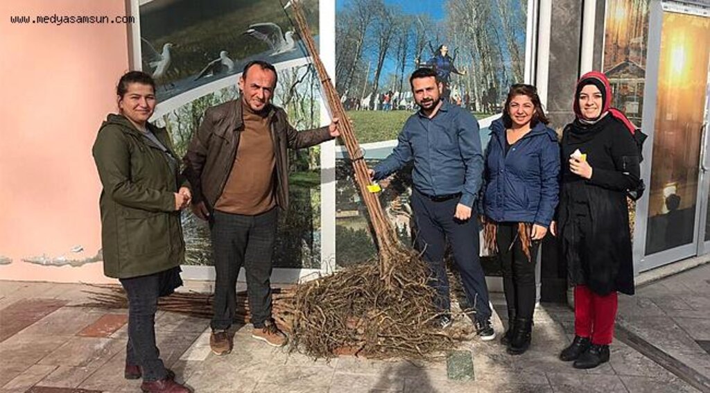 Büyükşehir'den Trabzon Hurması fidanı desteği