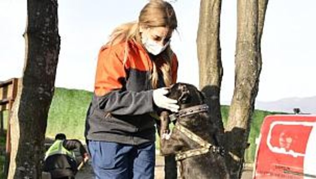 14 Ocak'ta süre bitiyor cezası 30 bin lira