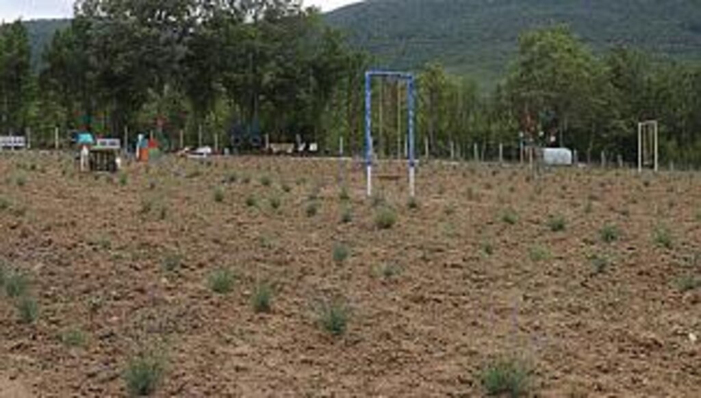 Kavak'ta Tıbbi ve Aromatik bitki yetiştirmek için harekete geçildi