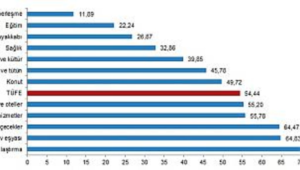 Enflasyon durdurulamıyor yıllık enflasyon yüzde 54.44 oldu