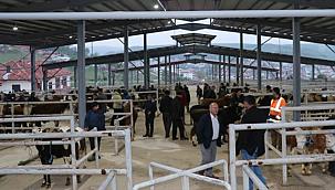Havza Kapalı Canlı Hayvan Pazarı Hizmete Açıldı