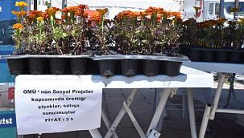 OMÜ 80 bin çiçeği 3 liradan satıp gelirini köy okullarına kullanacak