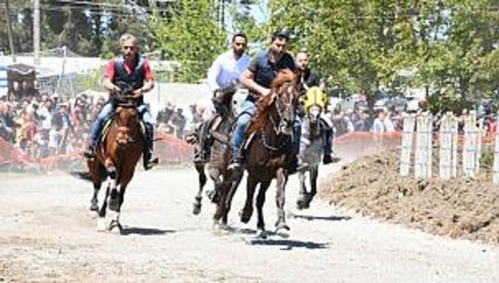 Sakarlı Hıdırellez, Kültür, Sanat ve Spor Etkinlikleri Festivaline büyük ilgi